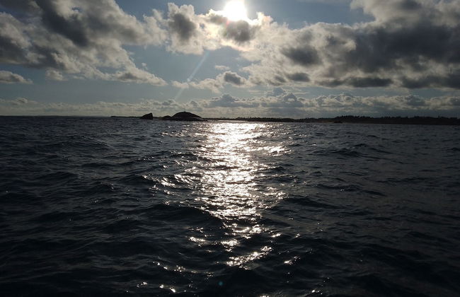 Kalimetiya Beach Cabana Near Beach 4 Minutes Walk - Photo 27