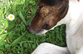 Haus am Sonnenhang - Foto 14