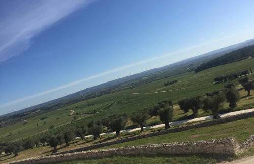 Masseria Amastuola Wine Resort - Foto 68