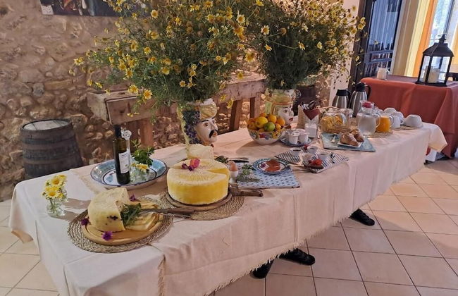 Fattoria Manostalla Villa Chiarelli - Foto 57