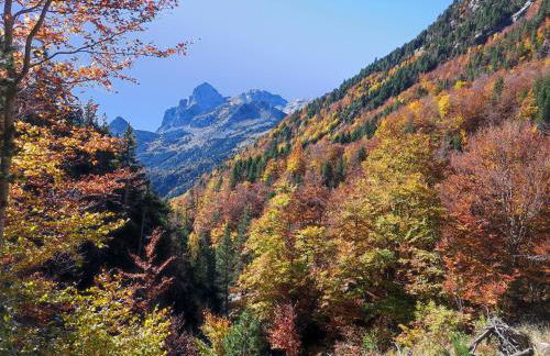 Apartamentos Lausan - Foto 52