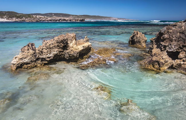 Hanson Bay Wildlife Sanctuary and Cabins - Photo 33