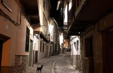 Lanzaroco, tu casa en La Vera - Foto 28