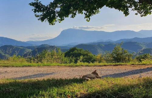 Casa Flori & Leonardo's Country House - Foto 22