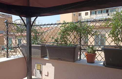 A&C GOLD DIAMOND - Foto 63