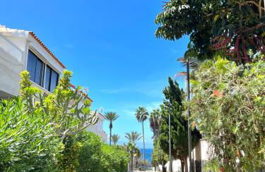 Silver & Brownie, Veracruz Sunset - Foto 1