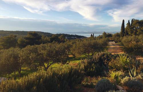 Sunset Hill Sutivan - Photo 5