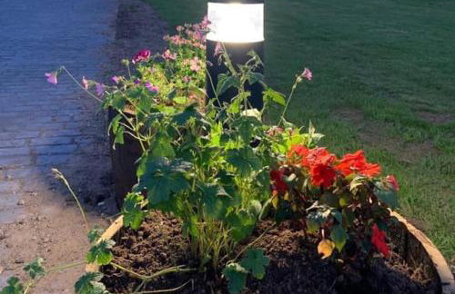 Beech Pod Cabin in beautiful surroundings Wrexham - Foto 6