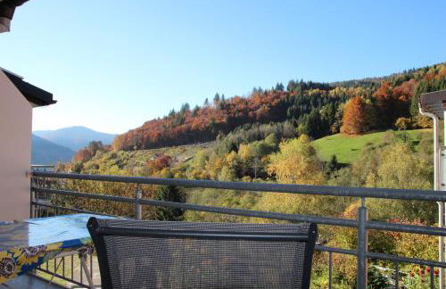 Steiert Panorama Apartments Todtnau - Foto 59