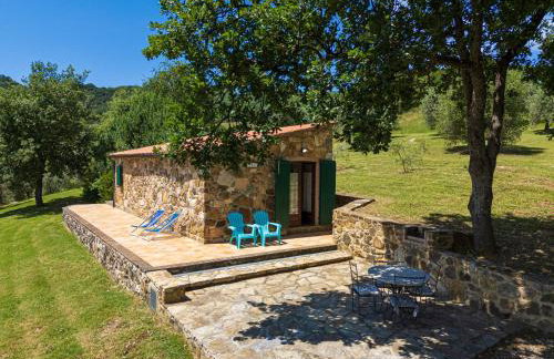 Poggio Diavolino - Suvereto - Foto 22