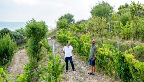 Casa Pichon Etxea - Foto 5