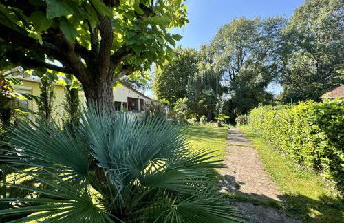 L'Abbaye de l'Epau - Jardin - Rivière - Foto 18