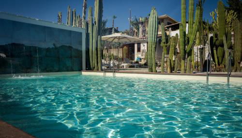 Garden Cactus - Foto 2