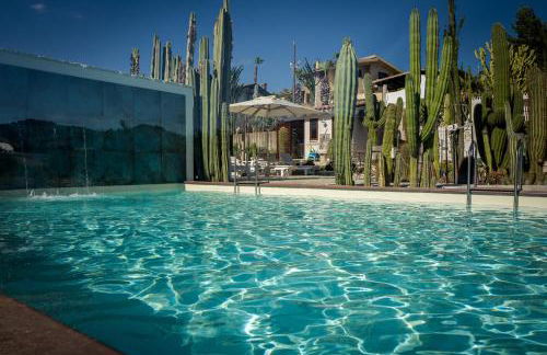 Garden Cactus - Foto 2