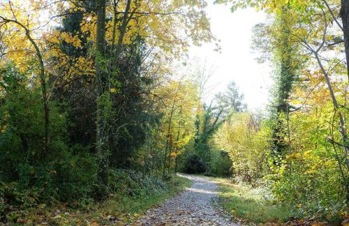 Am Jenbach - Foto 34