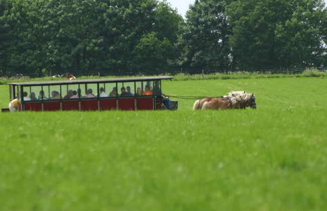 Cosy Chalet With gas Fireplace in Twente - Foto 21