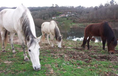 Casa da Feira - Foto 66