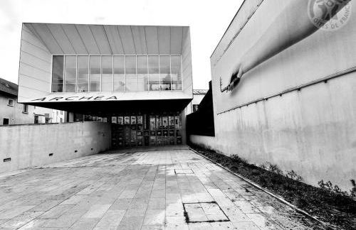 Moderne & Sweet Roissy / CDG / Paris / Astérix / Parc Expo - Foto 19