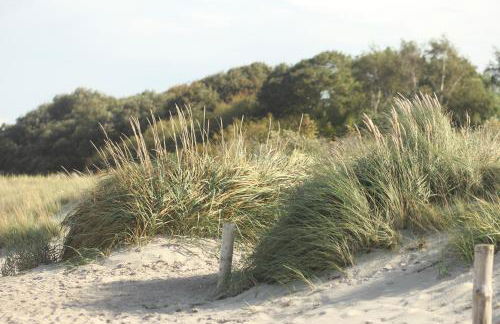 Ferienwohnung Vogelsang - Foto 30