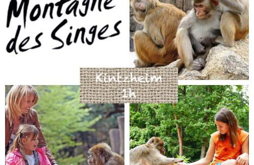 Le Hygge Chalet Gérardmer-Spa - Foto 61