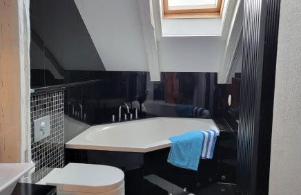 Apartments am Saalebogen mit Gartenterrasse, Grillkamin und freie Parkplätze - Foto 40