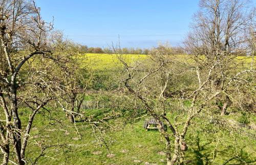 Urlaubsoase Ostsee - Foto 26