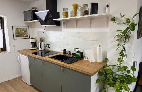 Moderne Wohnung in ruhiger Lage - Foto 8