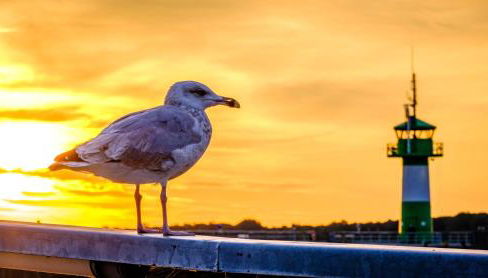Ferienwohnung Waterkant 1 Travemünde - Foto 4