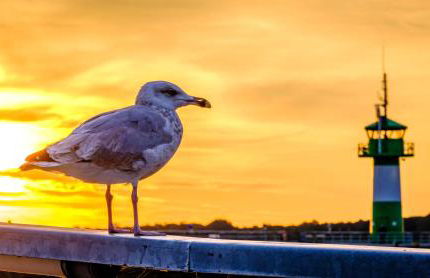 Ferienwohnung Waterkant 2 Travemünde - Foto 5