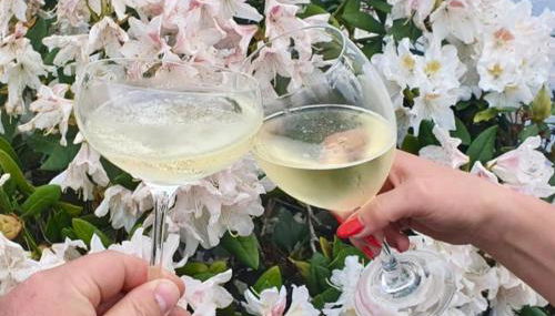 Ferienhaus Riesling - Foto 2