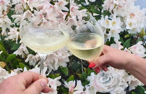 Ferienhaus Riesling - Foto 2