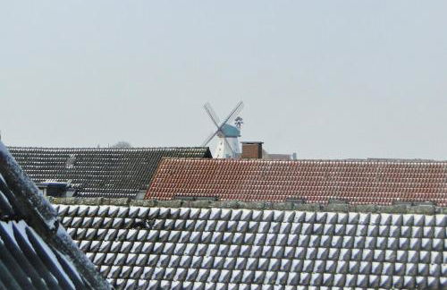 Strandkorb - Foto 13