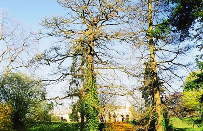 Wimbledon Holiday Lets - Foto 44