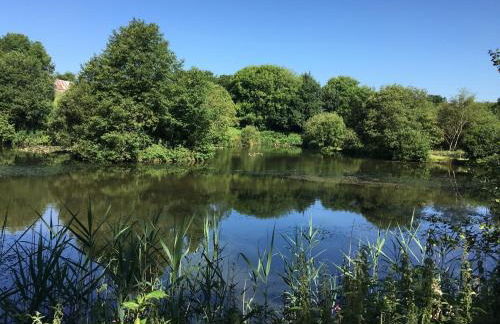 Dovehayes Cottage - Foto 37