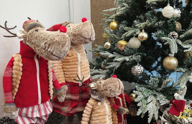 25000sqft Grand Luxe Villa PJ 13BR 42Pax - Foto 2