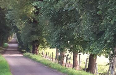 Le Nid des Avezous - Foto 20