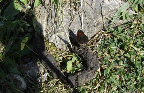 Bad Hindelang - Foto 49