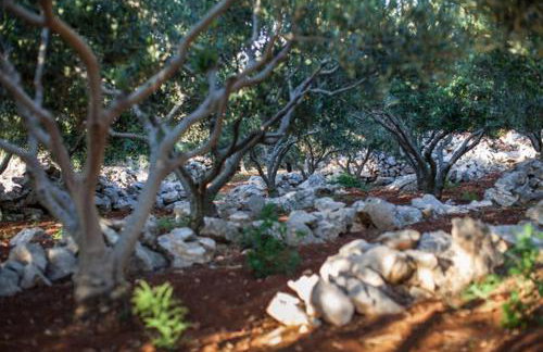 Adorable Cottage - Foto 11