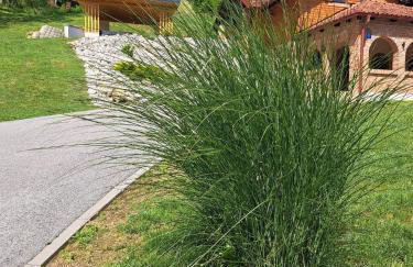 Villa Magnolia - Foto 55