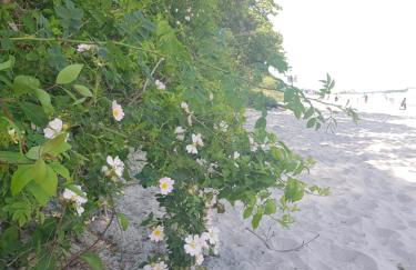 Hamburg Niendorf-Suite - Foto 58