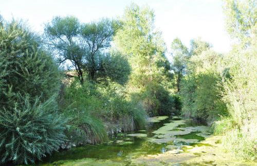 Agriturismo La Casaccina - Foto 30