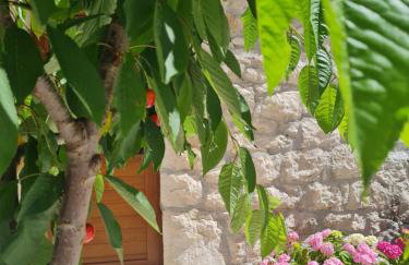 Villa Sokol with tennis court, heating pool, gym and sauna - Foto 53