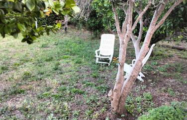 Maison individuelle padulella - Foto 4