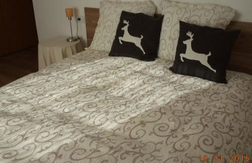 Appartamenti Primiero - Foto 23