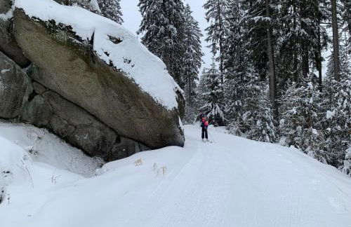 Ferienwohnung "Fichtelnaabrauschen" - Foto 14