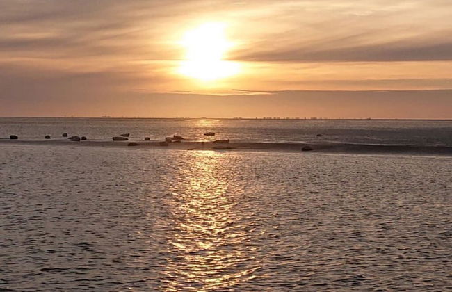 West in Haus Luttmoor - Foto 26