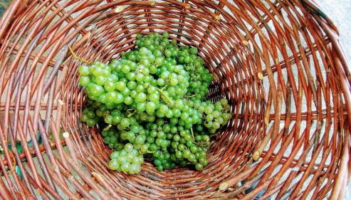 Fajã VinhaMar-Vinyard Cottage by the Sea - Foto 3