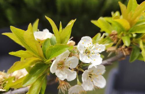 CASA CRUZ EL LLANO - Foto 24