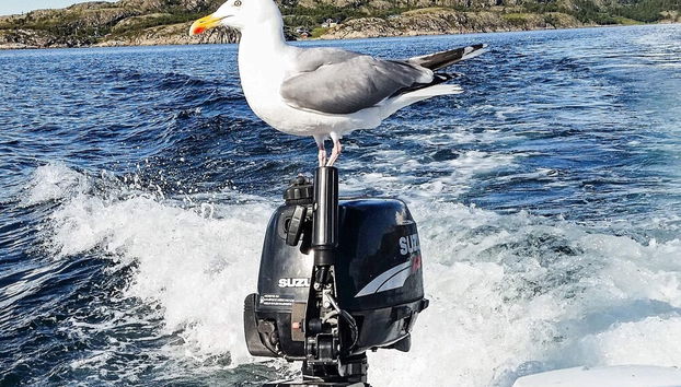 11 Person Holiday Home in Kolvereid - Foto 5, Varie