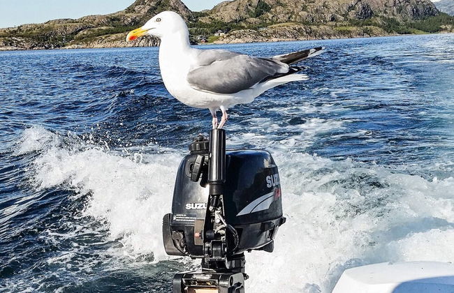 11 Person Holiday Home in Kolvereid - Foto 5